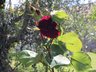 Holiday apartment No title - Outdoor photo 12