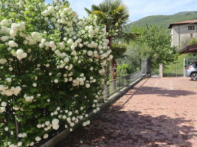 Holiday apartment No title - Outdoor photo 13