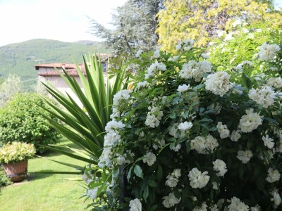 Holiday apartment No title - Environment photo 27