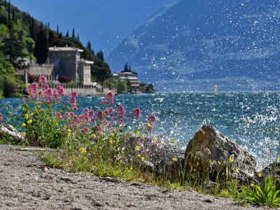 Holiday apartment No title - Environment photo 33