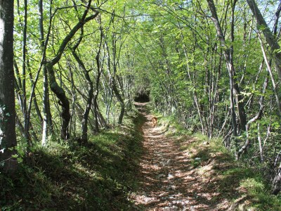 Holiday apartment No title - Environment photo 38