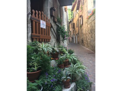 Holiday house No title - Environment photo 30