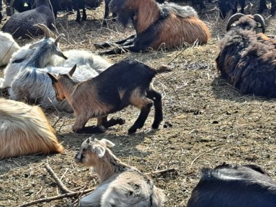 Holiday house No title - Environment photo 38