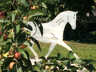 Holiday apartment Gocher-Berghof - Outdoor photo 6