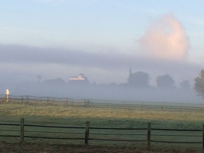 Holiday apartment Gocher-Berghof - Outdoor photo 7