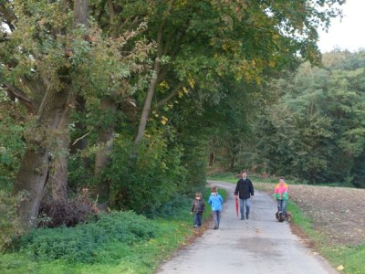 Holiday apartment Gocher-Berghof - Environment photo 20