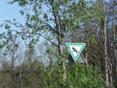 Holiday apartment Gocher-Berghof - Environment photo 21