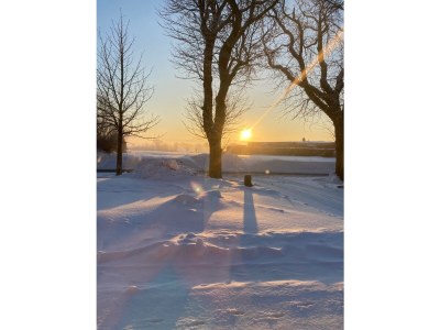 Holiday house Struve 2 auf dem Kastanienhof - Outdoor photo 6