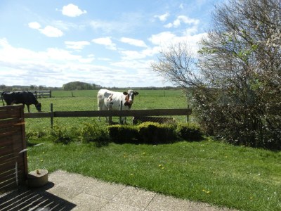 Holiday house Struve 2 auf dem Kastanienhof - Outdoor photo 10