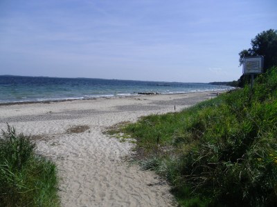 Holiday house Struve 2 auf dem Kastanienhof - Environment photo 31