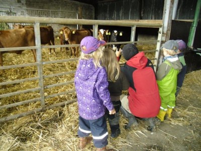 Holiday house Struve 2 auf dem Kastanienhof - Environment photo 36