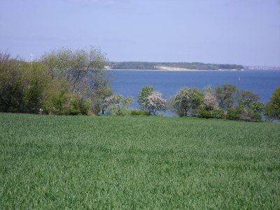 Holiday house Struve 2 auf dem Kastanienhof - Environment photo 37