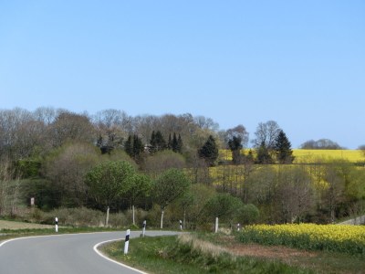 Holiday house Struve 2 auf dem Kastanienhof - Environment photo 38