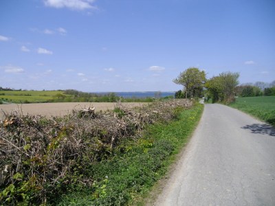 Holiday house Struve 2 auf dem Kastanienhof - Environment photo 39