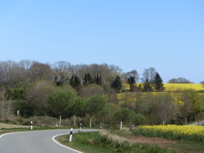 Holiday house Struve 2 auf dem Kastanienhof - Environment photo 40