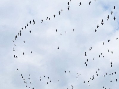 Holiday house 4 Personen Ferienhaus in Gedser-By Traum - Outdoor photo 2