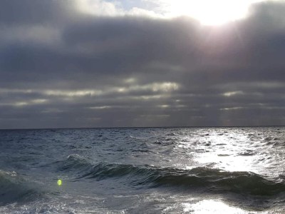 Holiday house 4 Personen Ferienhaus in Gedser-By Traum - Outdoor photo 11