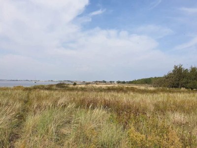 Holiday house 4 Personen Ferienhaus in Gedser-By Traum - Outdoor photo 38