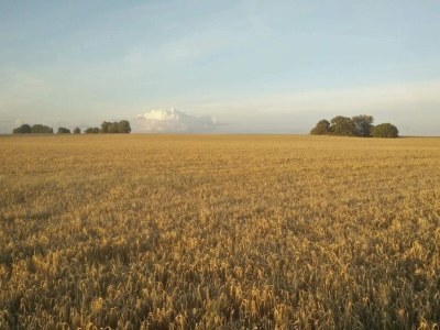 Holiday house 4 Personen Ferienhaus in Gedser-By Traum - Outdoor photo 40