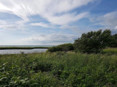 Holiday house 4 Personen Ferienhaus in Gedser-By Traum - Outdoor photo 41