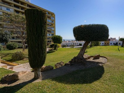 Apartment Estudio la Colina - Outdoor photo 6