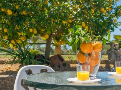 Finca Son Rossinyol - Outdoor photo 4