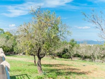 Finca Son Rossinyol - Outdoor photo 6