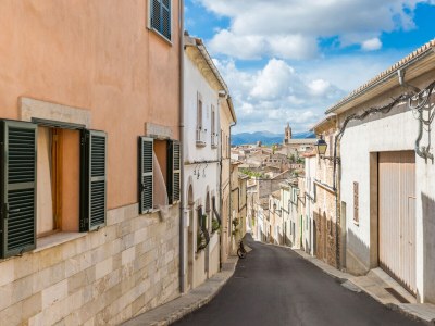 Finca Son Rossinyol - Environment photo 28