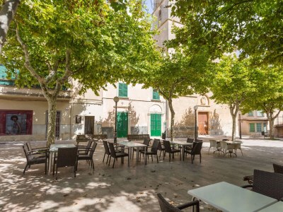 Finca Son Rossinyol - Environment photo 29