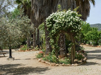Holiday house Calymar - Outdoor photo 73