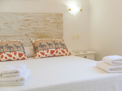Chalet VILLA MARINA (CALA EN PORTER) - Features photo 32