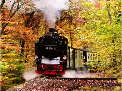 Apartment Famli Relax Villa Störtebeker - Environment photo 14