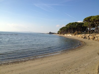 Holiday apartment I Ciliegi - Holiday apartment 10km from the sea - Environment photo 24