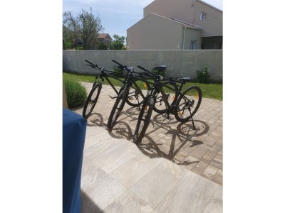 Villa Nonna Novigrad - Outdoor photo 13