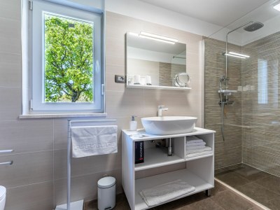 Villa Nonna Novigrad - Features photo 38