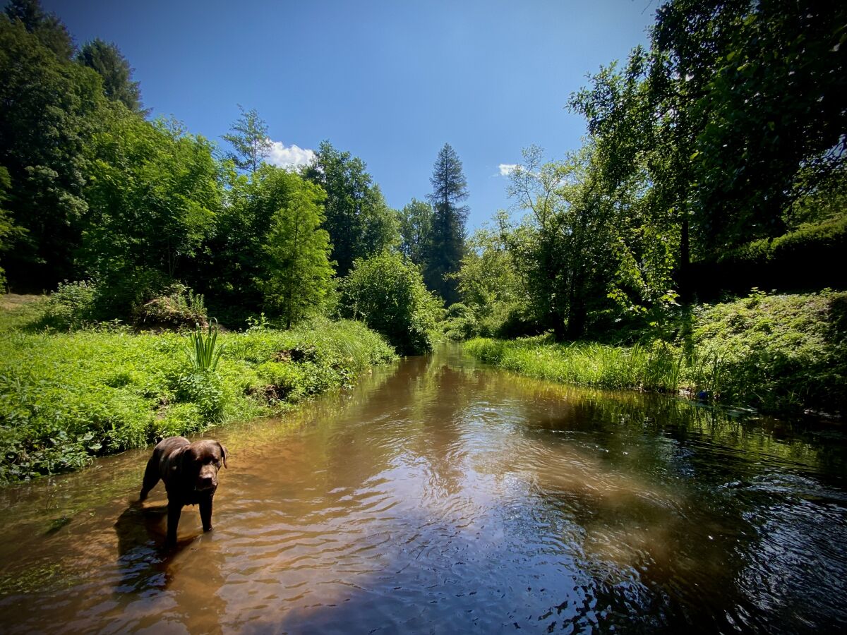 Holiday house Maisonette de la Forge - Outdoor photo 4