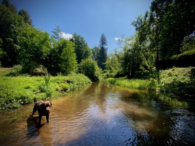 Holiday house Maisonette de la Forge - Outdoor photo 4