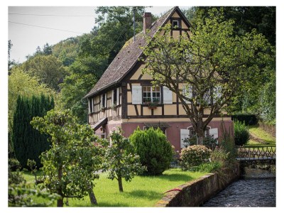 Holiday house Maisonette de la Forge - Outdoor photo 7