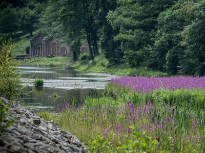 Holiday house Maisonette de la Forge - Environment photo 24