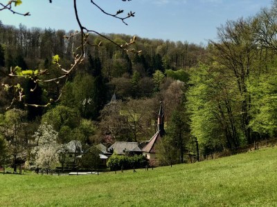 Holiday house Maisonette de la Forge - Environment photo 28