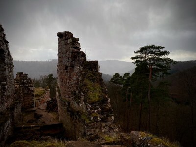 Holiday house Maisonette de la Forge - Environment photo 29