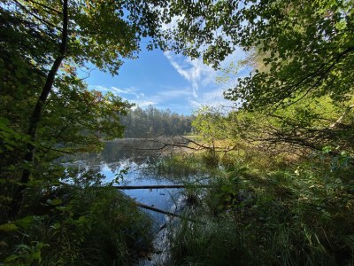 Holiday house Maisonette de la Forge - Environment photo 31