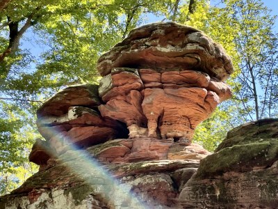 Holiday house Maisonette de la Forge - Environment photo 36