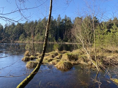 Holiday house Maisonette de la Forge - Environment photo 38