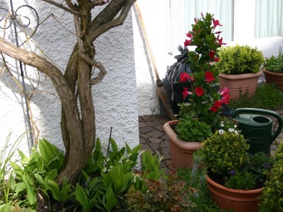 Holiday apartment Holiday 1 - Environment photo 29