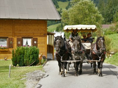 Holiday apartment Walser Liebe in Riezlern - Familie Hepp - Environment photo 37