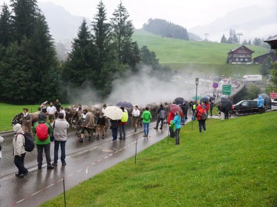 Holiday apartment Walser Liebe in Riezlern - Familie Hepp - Environment photo 39