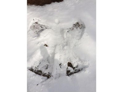 Holiday apartment Seefeld-Traum in Toplage - Environment photo 21