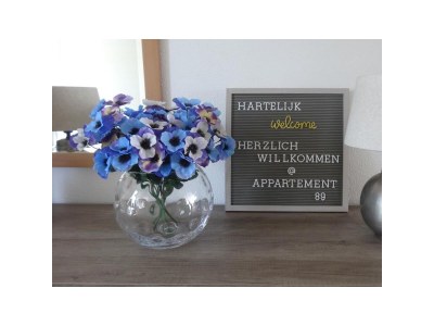 Holiday apartment InselglÃ¼ck 89 Buren - Features photo 9