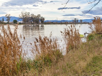 Holiday house Hütte in Deltebre nahe Far del Fangar - Environment photo 23